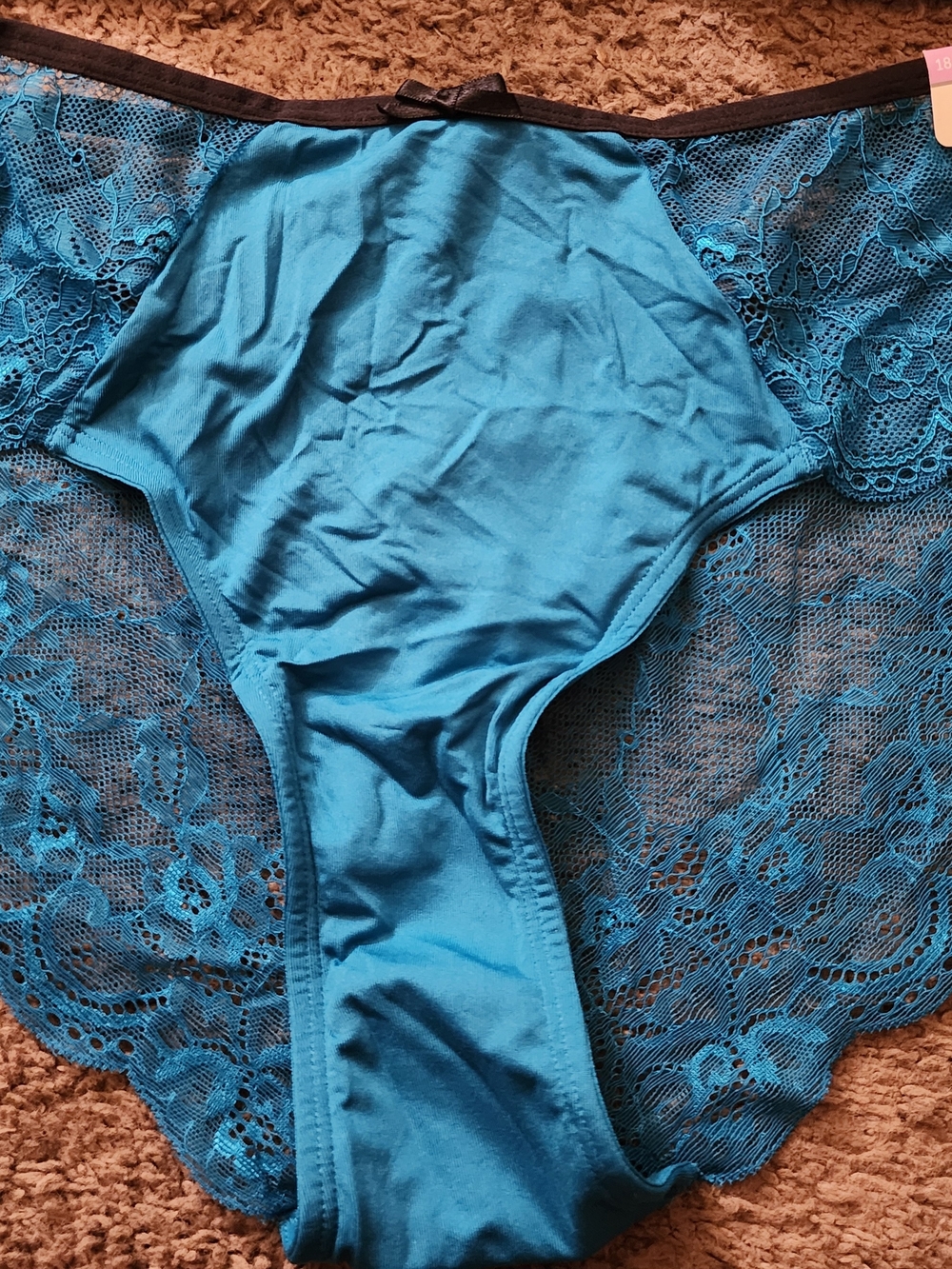 Cacique Teal Lace High-Waist Briefs